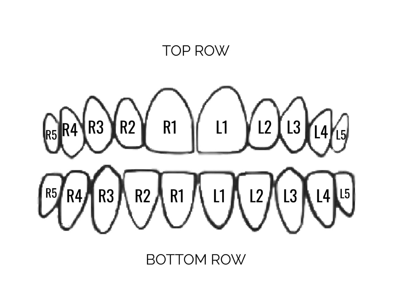 Custom Individual Teeth