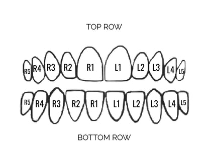 Custom Individual Teeth